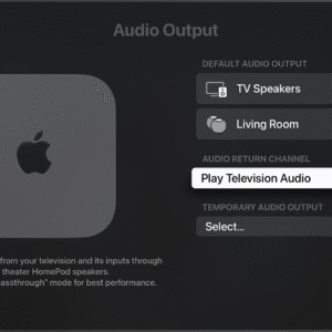 Audioplayer Works With Apple Earphone Remote