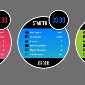 Css3 Zitrendy Cirlce Pricing Tables Paypal Popu