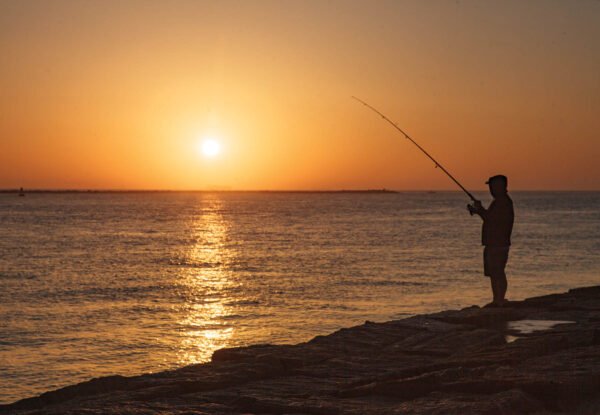 Fishing Frenzy Html5 Game Mobile Vesionadmob Construct2 Capx