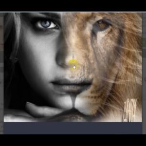 Fotomix Animal Face Morphing