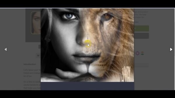 Fotomix Animal Face Morphing