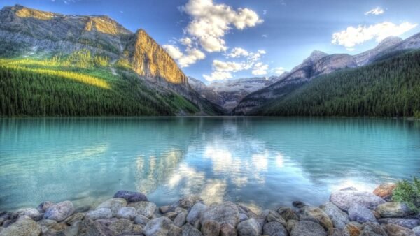 Hd Wallpaper