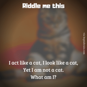 Riddle Me That