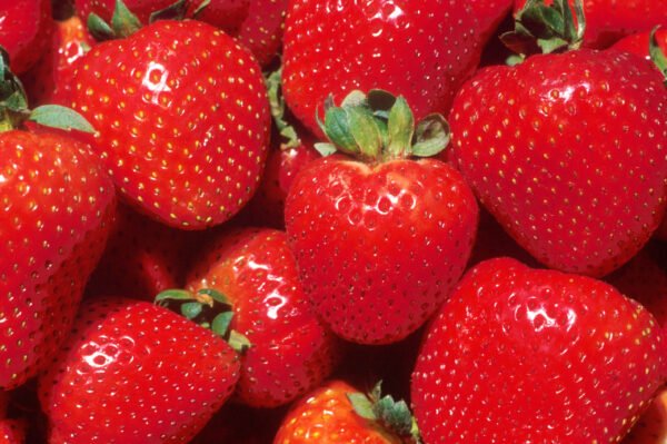 Strawberry Game With Admob And Leaderboard